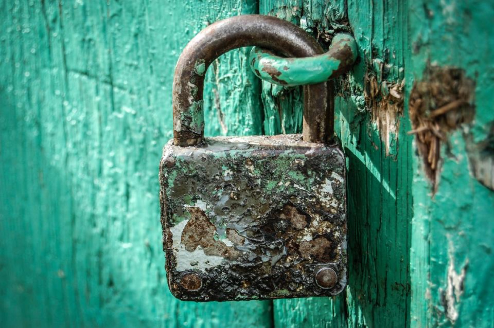A padlock on a closed door